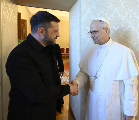 Papa sente Zelensky “Mosca e Kiev collaborino per tregua a Oleshky”
