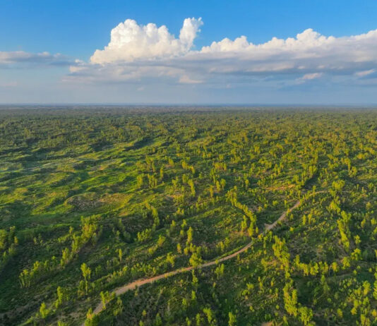 Dal deserto cinese di Mu Us al mondo, la storia della “guerriera della sabbia”