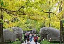 Cina, cresce il mercato interno del turismo