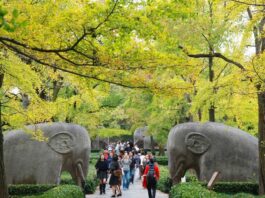 Cina, cresce il mercato interno del turismo