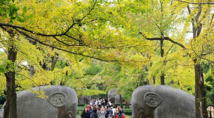 Cina, cresce il mercato interno del turismo