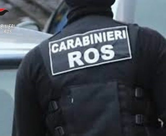 Blitz contro la ‘Ndrangheta nel Cosentino, 41 arresti