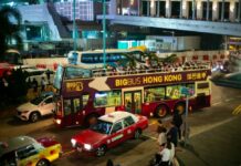 Cina, Hong Kong sospende import di pollame e uova da due aree in Danimarca e Usa