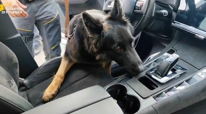 Maxisequestro di 22 Kg di cocaina nel catanese, arrestato 36enne serbo