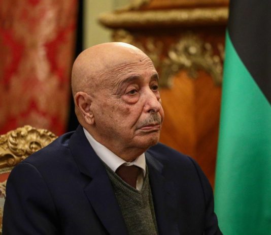 Libia, convocata sessione per eleggere il nuovo presidente della Camera dei Rappresentanti