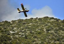 Nel 2026 in Calabria incendi in calo del 14%