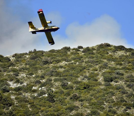 Nel 2026 in Calabria incendi in calo del 14%
