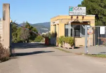 IGEA assume 14 operai a tempo indeterminato, Cani “Risorsa strategica per la Regione Sardegna”