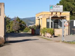 IGEA assume 14 operai a tempo indeterminato, Cani “Risorsa strategica per la Regione Sardegna”