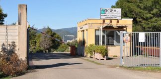 IGEA assume 14 operai a tempo indeterminato, Cani “Risorsa strategica per la Regione Sardegna”