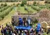 Mapei consegna 1.5000 ulivi agli agricoltori di Olivami