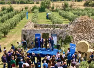 Mapei consegna 1.5000 ulivi agli agricoltori di Olivami