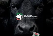 Mozzarella Dop, il World Buffalo Congress a Sorrento dal 28 al 30 ottobre