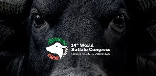 Mozzarella Dop, il World Buffalo Congress a Sorrento dal 28 al 30 ottobre