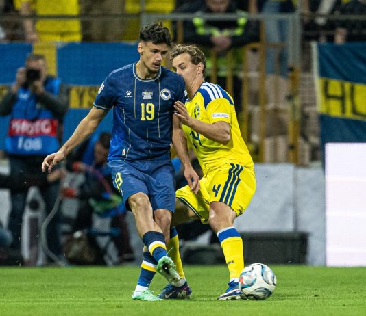 Bosnia head coach: “No cause for concern regarding Alajbegovic, he just had cramps”