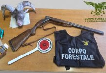 Controlli anti bracconaggio in Ogliastra, perquisizioni e sequestri