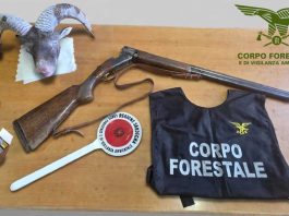 Controlli anti bracconaggio in Ogliastra, perquisizioni e sequestri