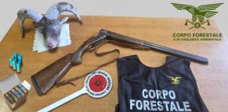 Controlli anti bracconaggio in Ogliastra, perquisizioni e sequestri