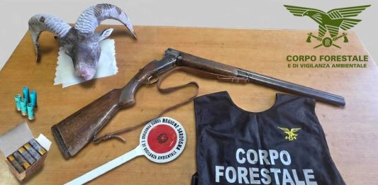 Controlli anti bracconaggio in Ogliastra, perquisizioni e sequestri