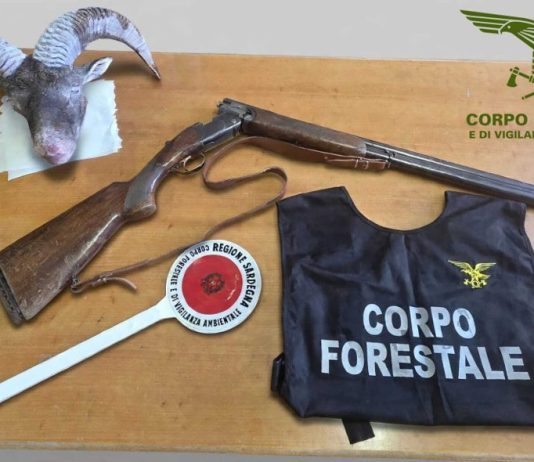 Controlli anti bracconaggio in Ogliastra, perquisizioni e sequestri