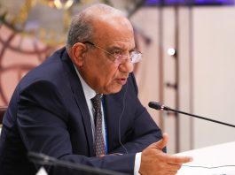 Egitto riconfermato alla presidenza del Consiglio ministeriale arabo per l’elettricità, Algeria vicepresidente