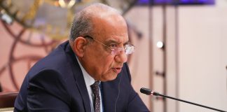 Egitto riconfermato alla presidenza del Consiglio ministeriale arabo per l’elettricità, Algeria vicepresidente