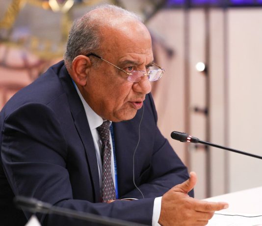 Egitto riconfermato alla presidenza del Consiglio ministeriale arabo per l’elettricità, Algeria vicepresidente