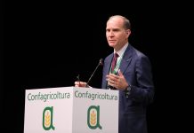 Massimiliano Giansanti confermato nel ruolo di presidente del Copa