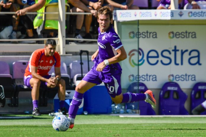 Calcio - Italia Serie A - Fiorentina vs Torino