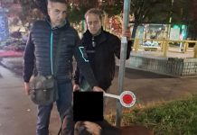 Chiedono 1.000 euro per restituire un cane smarrito, denunciati due giovani a Milano