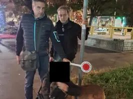 Chiedono 1.000 euro per restituire un cane smarrito, denunciati due giovani a Milano