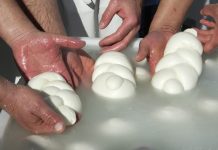 Filiera bufalina, nasce il Registro unico del latte