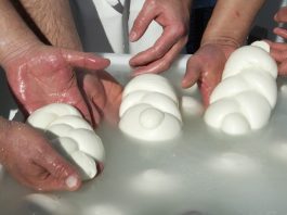 Filiera bufalina, nasce il Registro unico del latte
