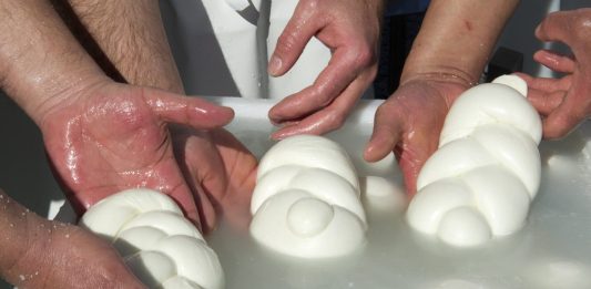 Filiera bufalina, nasce il Registro unico del latte