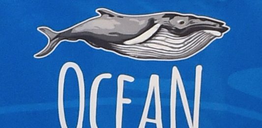 L’Ocean Film Festival World Tour arriva per la prima volta in Calabria