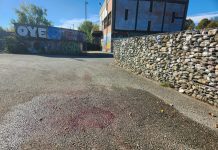 Giovane accoltellato e ucciso al parco Dora a Torino, fermato il presunto assassino