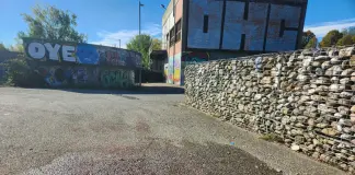 Giovane accoltellato e ucciso al parco Dora a Torino, fermato il presunto assassino