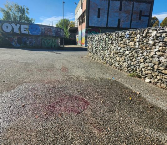 Giovane accoltellato e ucciso al parco Dora a Torino, fermato il presunto assassino
