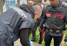 Contrasto allo spaccio di droga, 20 arresti in diverse zone di Roma e del litorale