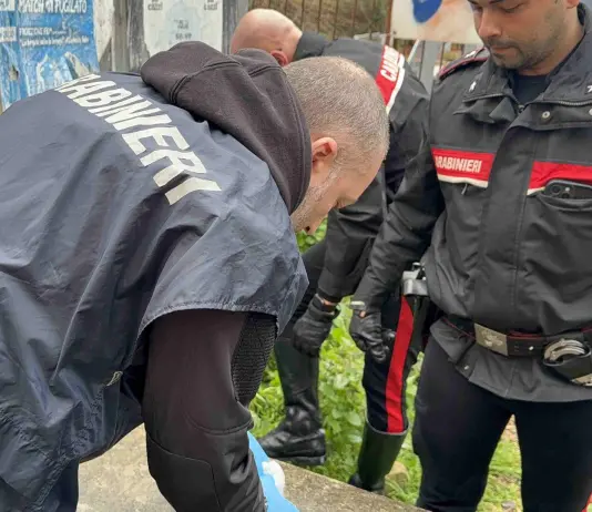 Contrasto allo spaccio di droga, 20 arresti in diverse zone di Roma e del litorale