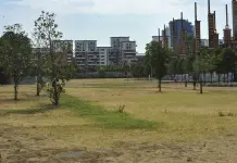 Giovane accoltellato e ucciso al Parco Dora a Torino, è caccia al killer