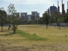 Giovane accoltellato e ucciso al Parco Dora a Torino, è caccia al killer
