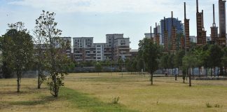 Giovane accoltellato e ucciso al Parco Dora a Torino, è caccia al killer