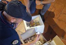 Maxi sequestro di farmaci dopanti a Caltagirone, un uomo ai domiciliari