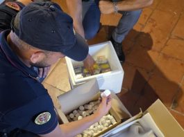 Maxi sequestro di farmaci dopanti a Caltagirone, un uomo ai domiciliari