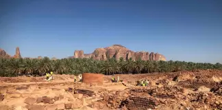 محافظة العلا تطلق موسم الآثار 2026 – 2027 لتعزيز البحث العلمي والاكتشافات الأثرية