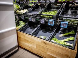 Confcommercio “Con i blocchi dell’autotrasporto rifornimenti a rischio, agire subito” IPA