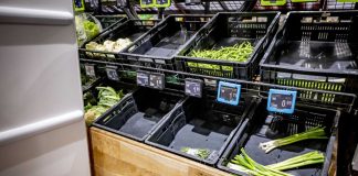 Confcommercio “Con i blocchi dell’autotrasporto rifornimenti a rischio, agire subito” IPA