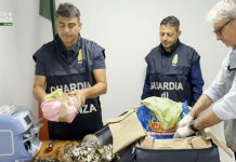 Contrasto ai traffici illeciti transnazionali, sequestrati 28 kg di argento all’aeroporto di Fiumicino