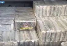 Maxi sequestro a Monza, 248 chili di cocaina e 12 di hashish: tre arresti